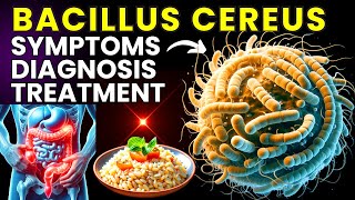 Bacillus Cereus Understanding Food Poisoning from Reheated Rice [upl. by Eenrahc]