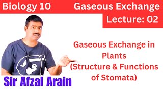 Biology 10Gaseous ExchangeLec02 Gaseous Exchange In PlantsStomataSindh amp Punjab Board [upl. by Pen]