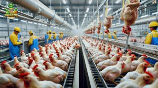 Inside the Chicken Factory Processing Millions of Chickens for Meat [upl. by Marrilee26]