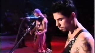 Red Hot Chili Peppers  Live  Woodstock 94 Full Concert [upl. by Libb]