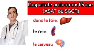 Laspartate aminotransférase ASAT ou SGOT [upl. by Alleuqcaj]