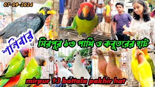 pakhir dam janun  mirpur 13 bottola pakhi o kobutorer hat  পাখির দরদাম  হাস মুরগির হাট মিরপুর ১৩ [upl. by Nahsaj]