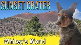 Exploring Sunset Crater  Whiteys World [upl. by Sara-Ann]