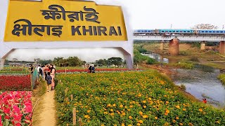 Khirai Flower Garden 2024  Khirai One Day Trip From Kolkata  Khirai Valley of Flowers [upl. by Christiano923]