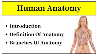 Anatomy Introduction In Hindi  Definition Of Anatomy And Its Division  What Is Anatomy In Urdu [upl. by Isaak]