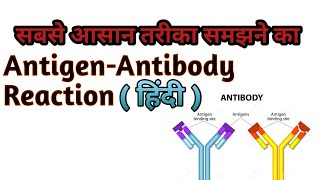 AntigenAntibody Reaction in  हिंदी Essy Way To Explain [upl. by Easton956]