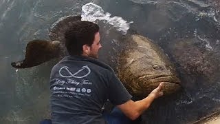 Bridge Fishing For Giant Goliath Grouper [upl. by Ziana]