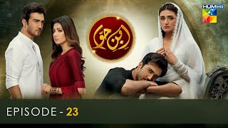 IbneHawwa  Episode 23 𝐂𝐂 16th July 2022  HUM TV [upl. by Fridell162]