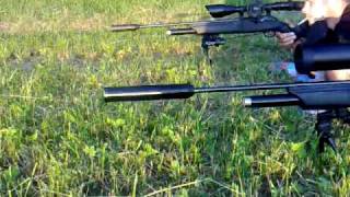 Walther 1250 Dominator Cal 177 [upl. by Jeri558]