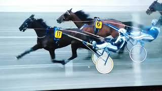 V75 Romme DD 2 Whos Who [upl. by Llenehs]