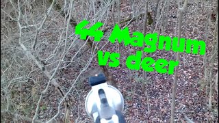 44 Magnum Trick Shot [upl. by Standush]