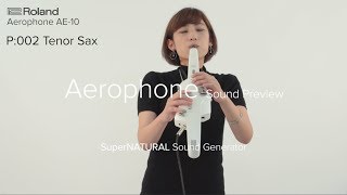 Roland Aerophone AE10 Sound Preview [upl. by Auhel]