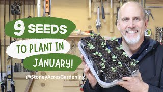 Its Time to Start Your Garden 9 Seeds to Plant Indoors in January [upl. by Arobed]