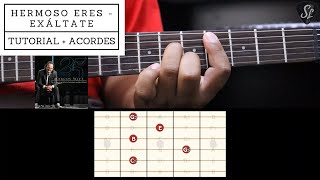 Hermoso eres  Exáltate  Coalo Zamorano y Danilo Montero  Tutorial de guitarra eléctrica  Acordes [upl. by Enoryt]