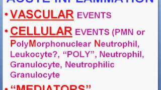 Medical School Pathology Chapter 2a [upl. by Aydne]