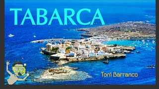 🏝ISLA de TABARCA 🇪🇸  ALICANTE  🏖⛵⚓ [upl. by Clemmy]