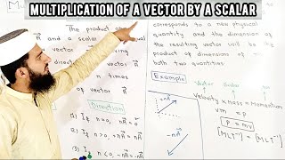 Multiplication Of a Vector by a Scalar class 11 Physics  Chapter No 02  Vectors and Equilibrium [upl. by Eimmelc]