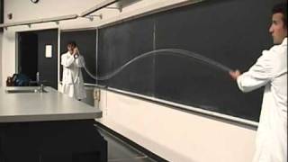 Wave Reflection and Standing Waves 2mp4 [upl. by Mair]