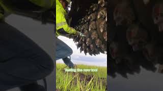 2023 Asphalt Paving Top Videos quotWirtgen Tooth Removalquot 6 🎥 theroadmillers asphaltpaving [upl. by Yniattirb]