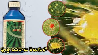 67Fenazaquin 10EcMagister InsecticidesDupont india PvtLtd Rythu manishi [upl. by Rabkin]