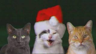 JINGLE CATS LetItSnowCats SCREEN TEST 003 [upl. by Adnorhs]