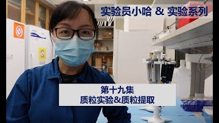 Visual Protocol 19  Plasmid isolation 实验员小哈amp实验系列  第十九集 质粒提取 [upl. by Scot533]