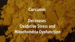 Curcumin Decreases Oxidative Stress and Mitochondria Dysfunction [upl. by Adiana465]