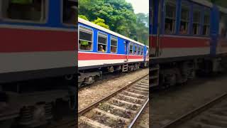 train 😍 trainvideo badulla trending 🚆 🥀🌻🌲Daffodil male [upl. by Freddy]