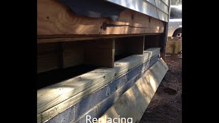 Main beam replacement  Floor Joist Termite Damage 3 of 4 [upl. by Alpers]