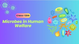 MICROBES IN HUMAN WELFARE Class 12  NEET 2024 Biology  NCERT  Part1  Desh Deepak Chaudhary [upl. by Barvick]