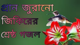 আল্লাহর শ্রেষ্ঠ জিকির  jikir gojol  দিল ঠান্ডা করা জিকিরের সেরা গজল [upl. by Carnes]