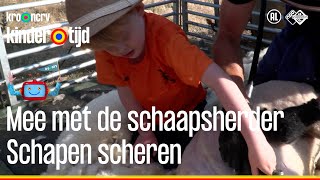 Scheren  Mee met de schaapsherder  Kindertijd KRONCRV [upl. by Asilej]