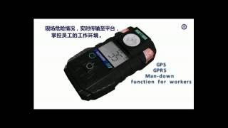 E1000 Portable Gas Detector single gas detector Hanwei Electronics [upl. by Ready]