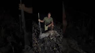 Hyena Hunting in Africa  Ultimate Hunt [upl. by Ziwot566]