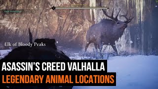 All 9 Assassins Creed Valhalla Legendary Animal locations [upl. by Sadler]