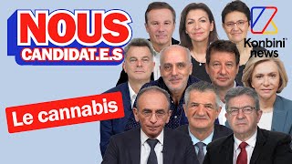 Cannabis et légalisation ou pas  le programme des candidats à lélection présidentielle 2022 [upl. by Oinotnaesoj498]