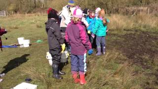 Pond dipping at Little Gaddesden [upl. by Orlov]