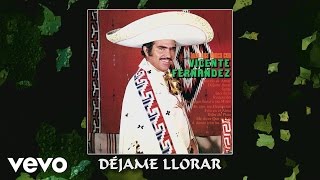 Vicente Fernández  Déjame Llorar Audio [upl. by Palmer202]