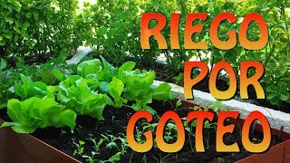 Como instalar un sistema de riego por goteo en una mesa de cultivo [upl. by Akeryt]