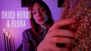 Crisp Flora Sounds  Grasping  Sweeping  Tapping  Energy Work ASMR [upl. by Loree]