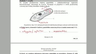 PROTISTY  Budowa pantofelka  ZADANIA MATURALNE Z BIOLOGII 🌱 [upl. by Kelwunn673]