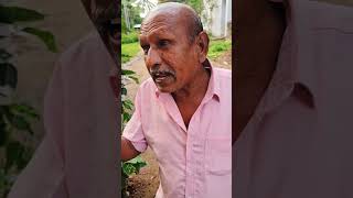 பஜ்ஜி கடை ஆரம்பிச்சும் பிரயோஜனம் இல்ல comedy panamatta funny reels funnyshorts [upl. by Tybald678]