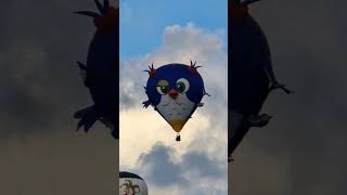 hottolfiades montgolfière hotton belgique festivité [upl. by Katzen756]