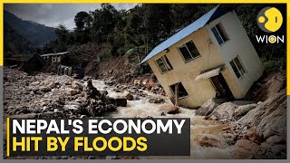 Nepals Economy Hit By Floods Nepals Agriculture And Energy Sectors Crippled  WION [upl. by Sible]