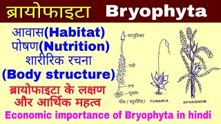 Bryophytaब्रायोफाइटा लक्षण और आर्थिक महत्व Economic importance of Bryophyta Biology in hindi [upl. by Ylluz631]