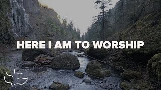 Here I Am To Worship  Maranatha Music Lyric Video [upl. by Ahsenrat]