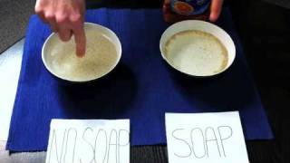 Chemical Reaction Between Dishwasher Soap and The Surface Tension of Water [upl. by Genaro]