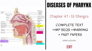 Diseases of Pharynx ENT  Ch 4755 Dhingra  Adenoids  Pharyngitis  Tonsillitis  Tumors [upl. by Ahsit]