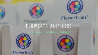 MNP  Suntory FlowerTrials 2023 [upl. by Trilly569]