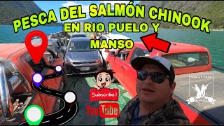 PESCA del SALMÓN CHINOOK en RIO PUELO y MANSO… DÉCIMA REGIÓN DE CHILE 🇨🇱 [upl. by Federica]